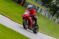 PJ-Motorsport-Photography-2020;anglesey;brands-hatch;cadwell-park;croft;donington-park;enduro-digital-images;event-digital-images;eventdigitalimages;mallory;no-limits;oulton-park;peter-wileman-photography;racing-digital-images;silverstone;snetterton;trackday-digital-images;trackday-photos;vmcc-banbury-run;welsh-2-day-enduro